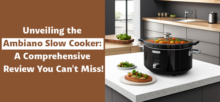 ambiano slow cooker review