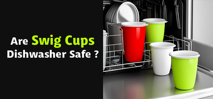 Are Swig Cups Dishwasher Safe
